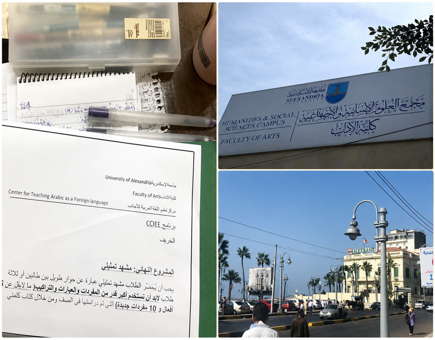 Arabic communication and Egypt study experience background